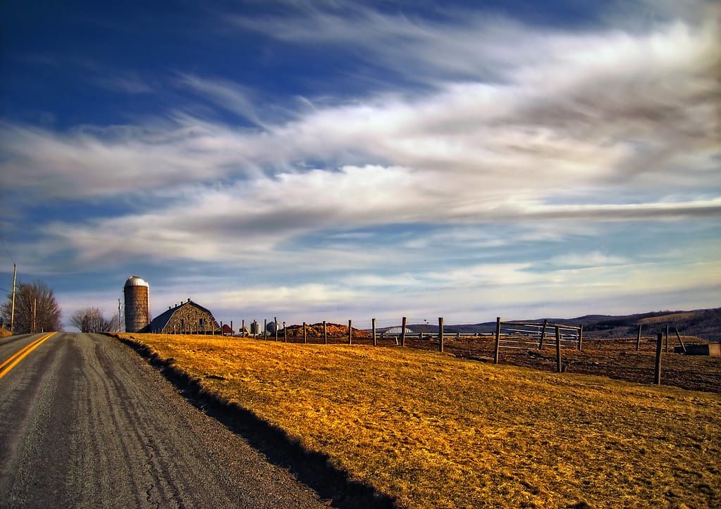 Leere Landstraße zwischen goldgelben Feldern, im Hintergrund ein Bauernhof mit Silo unter blauem Himmel mit Schleierwolken