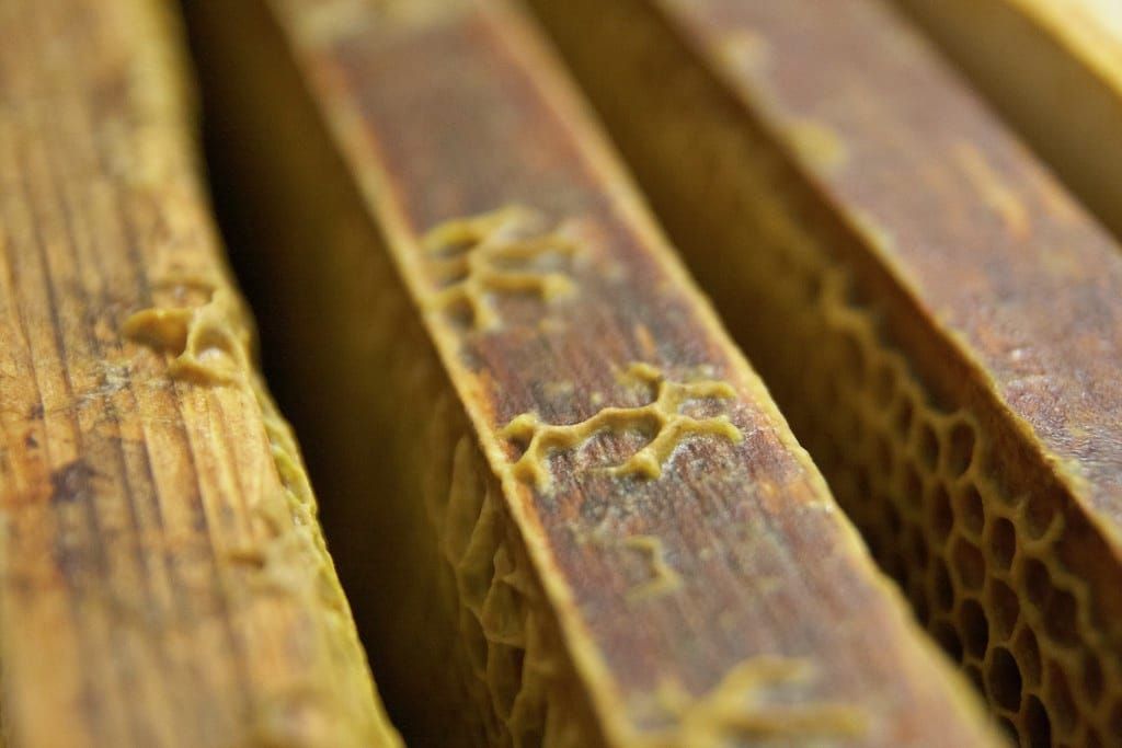 Nahaufnahme hölzerner Rähmchen aus einem Bienenstock mit Waben und Wachsresten