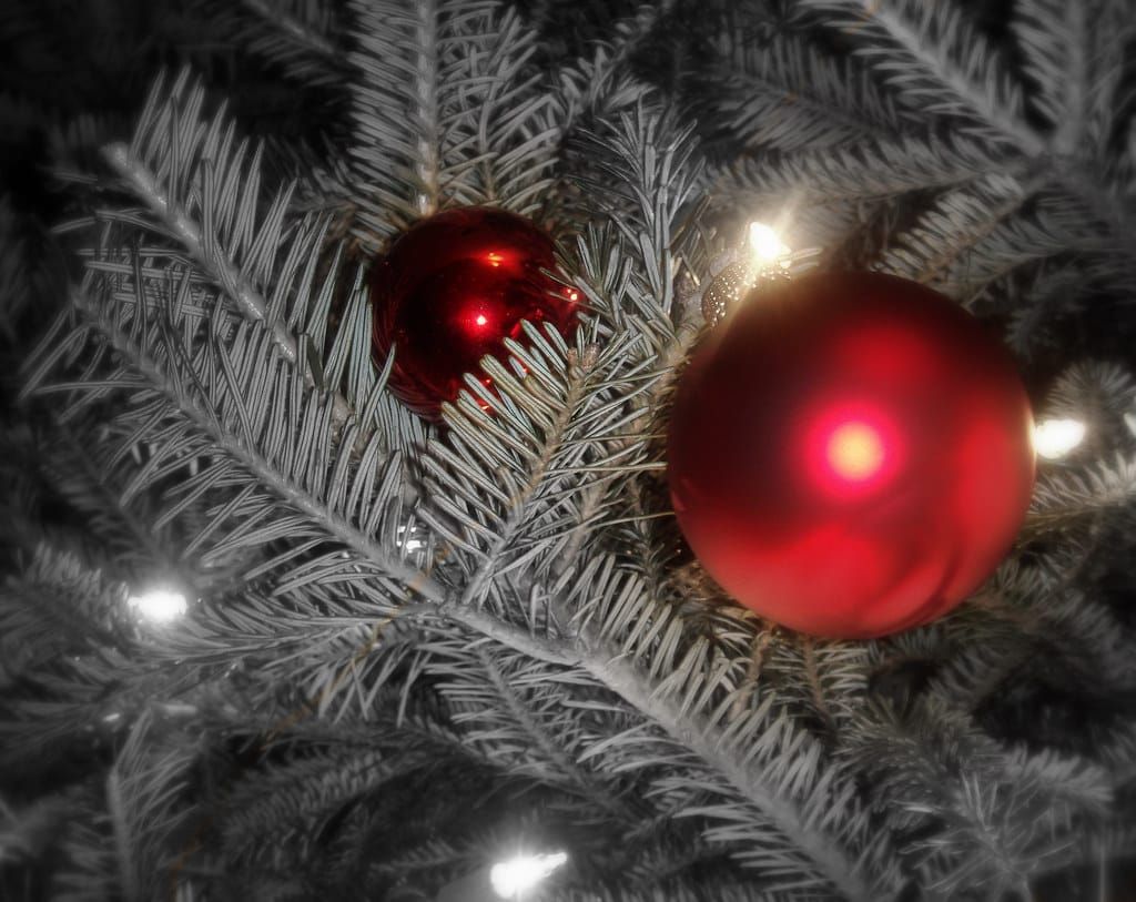 Zwei rote Christbaumkugeln hängen zwischen silbrig-grünen Tannenzweigen mit kleinen Lichterkettenlampen
