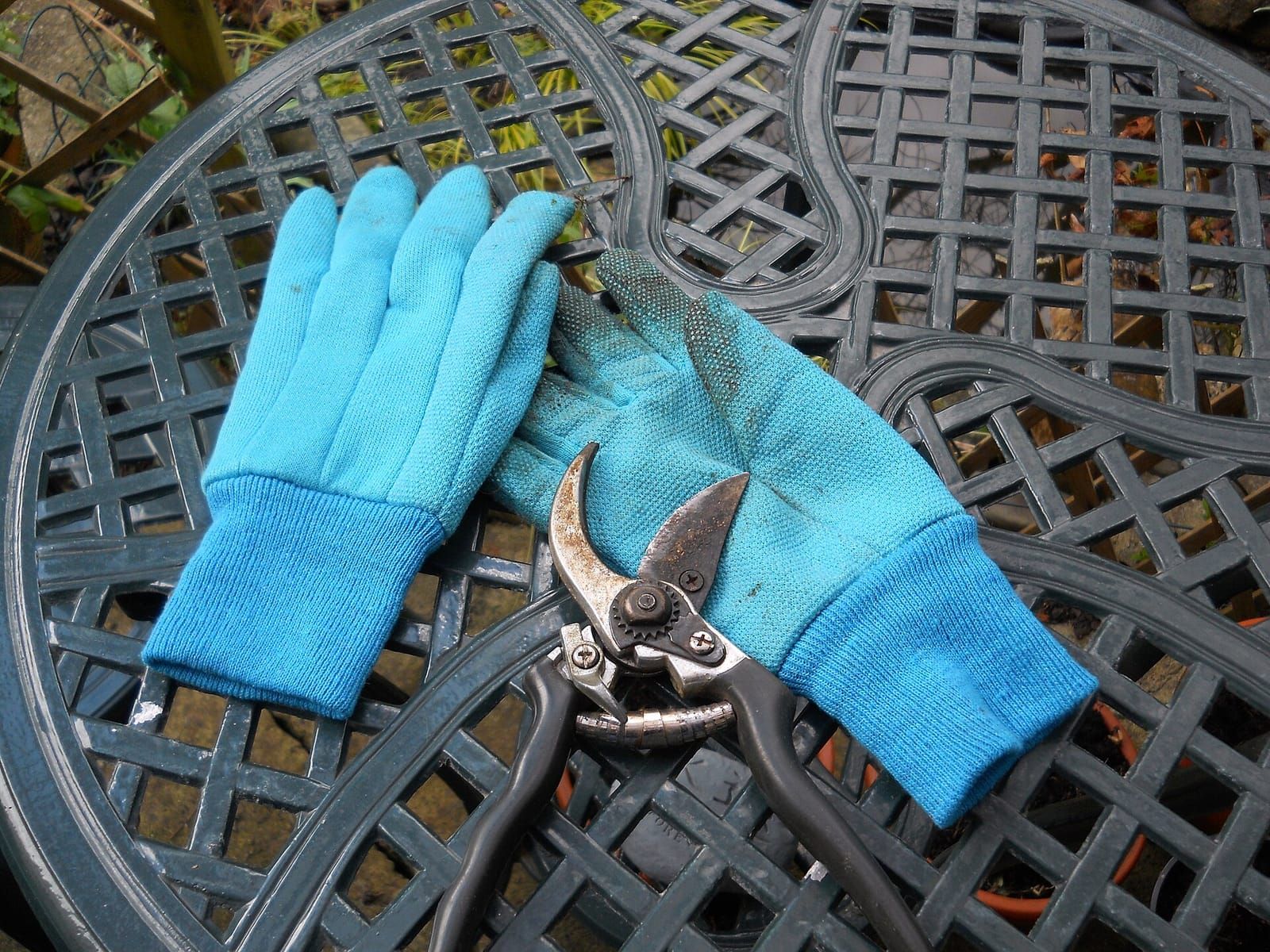Blaue Gartenhandschuhe und eine gebrauchte Gartenschere auf einem dunkelgrünen Gartentisch aus Metall