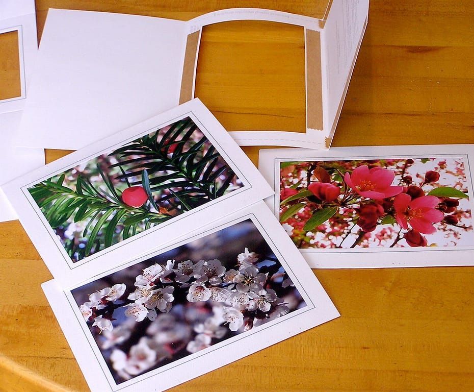 Drei Klappkarten mit Fotos von Blüten und Tannenzweigen auf einem hellen Holztisch, daneben ein offener Umschlag