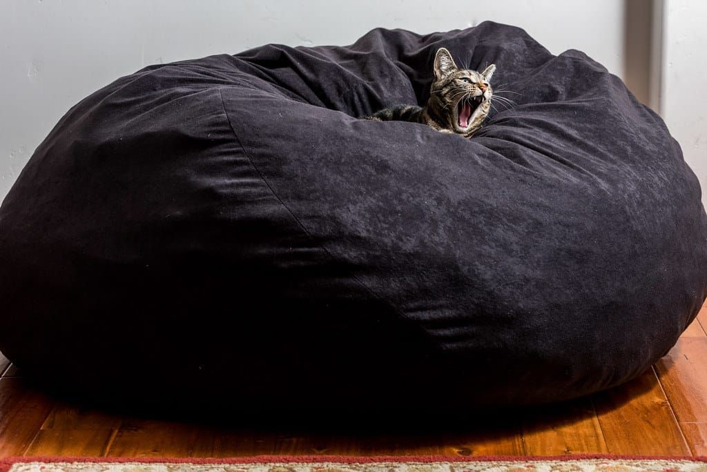 Großer schwarzer Sitzsack aus Samtstoff auf Holzboden, in der Mulde liegt eine gähnende Katze