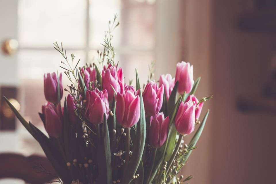 Strauß rosafarbener Tulpen mit zarten Zweigen vor einem hellen Fenster